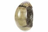 Septarian Dragon Egg Geode - Black Crystals #253754-1